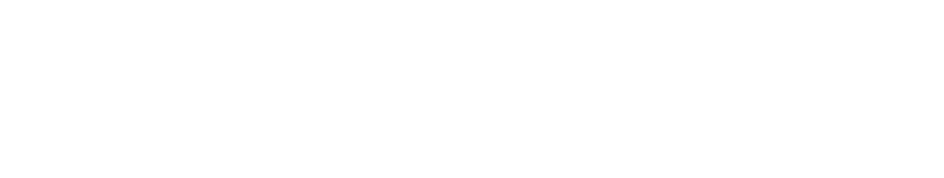 Lighthouse-Agentur